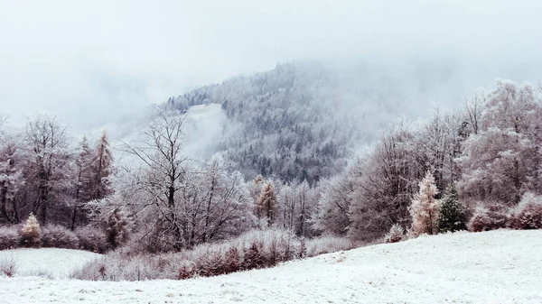 Vista Clareira Montanha Para Colinas Cobertas Neve Florestas Beskids Polônia — Fotografia de Stock