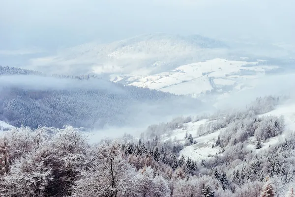 Vista Clareira Montanha Para Colinas Cobertas Neve Florestas Beskids Polônia — Fotografia de Stock