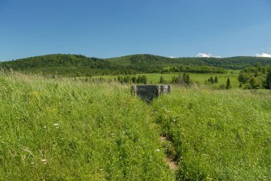 Tarlalar ve çayırlar arasında bir ahşap kuyu, Bieszczady Dağları, Polonya