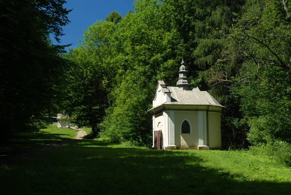 Une Chapelle Entourée Champs Forêts Par Une Journée Ensoleillée Été — Photo