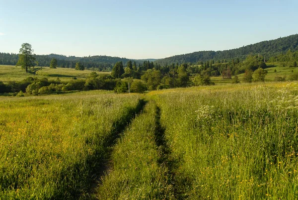 晴れた日の緑の牧草地の間の未舗装の道路 Bieszczady山 ポーランド — ストック写真