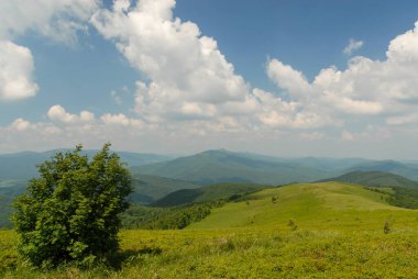 Güneşli bir yaz gününde, yeşil dağ tepeleri mavi gökyüzüne karşı Bieszczady Dağları, Polonya