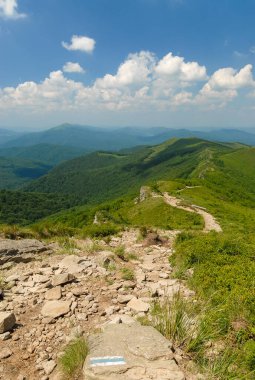 Sıcak bir yaz gününde yeşil tepelerin arasında dağ yolu, Bieszczady Dağları, Polonya