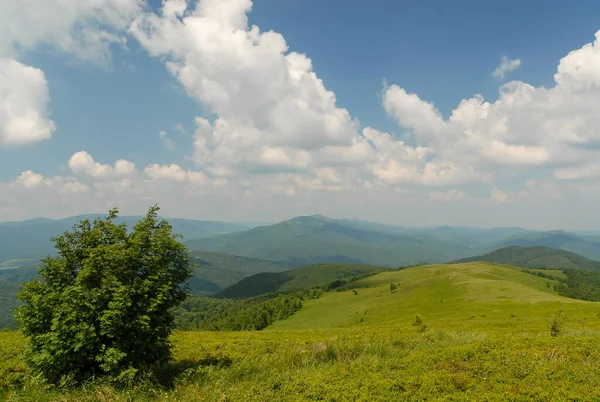 Güneşli bir yaz gününde, yeşil dağ tepeleri mavi gökyüzüne karşı Bieszczady Dağları, Polonya