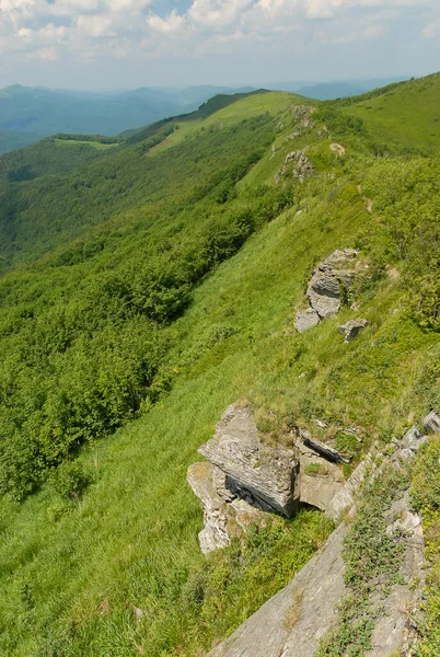 Güneşli bir yaz gününde, yeşil dağ tepeleri mavi gökyüzüne karşı Bieszczady Dağları, Polonya