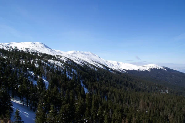 Pico Montaña Día Soleado Invierno Beskids Polonia —  Fotos de Stock