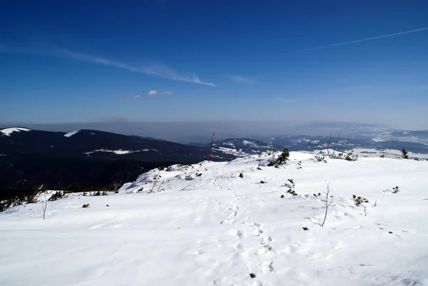 Montanha Pico Dia Ensolarado Inverno Beskids Polônia — Fotografia de Stock