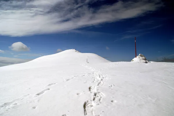 Βουνοκορφή Μια Ηλιόλουστη Μέρα Του Χειμώνα Beskids Πολωνία — Φωτογραφία Αρχείου