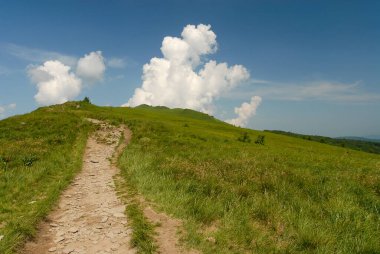 Yeşil çayırlar arasında bir dağ yolu, Bieszczady Dağları, Polonya