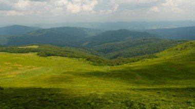 Yeşil dağ çayırları, Bieszczady Dağları, Polonya