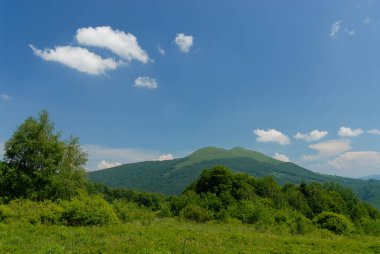Yeşil dağ çayırları bir yaz günü, Bieszczady Dağları, Polonya