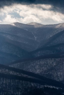 Dağlarda karla kaplı bir orman bulutlu bir günde, Bieszczady Dağları, Polonya