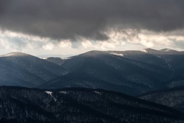 Dağlarda karla kaplı bir orman bulutlu bir günde, Bieszczady Dağları, Polonya
