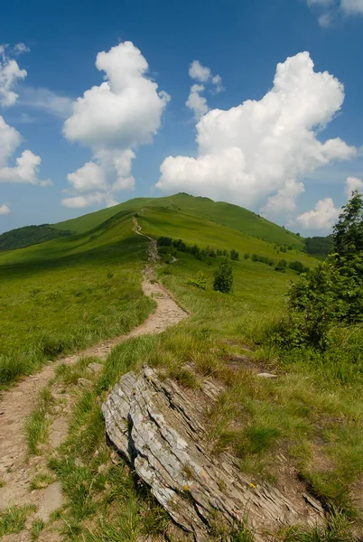 Een Bergpad Tussen Groene Weiden Bieszczady Mountains Polen — Stockfoto