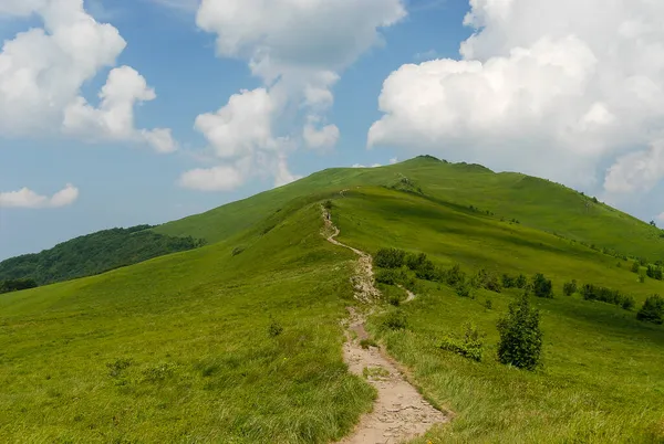 Een Bergpad Tussen Groene Weiden Bieszczady Mountains Polen — Stockfoto