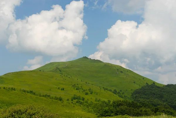 Prati Verdi Montagna Bieszczady Mountains Polonia — Foto Stock