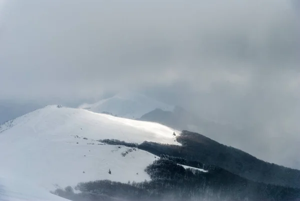 Snöstorm Bergsrygg Mulen Dag Bieszczady Mountains Polen — Stockfoto
