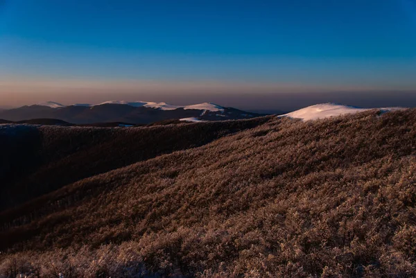 Winter Mountain Forest Frosty Sunny Day Bieszczady Mountains Poland — Stock Photo, Image