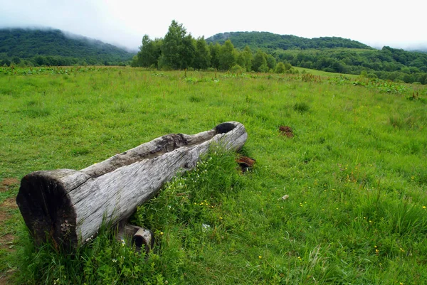 Wooden Water Trough Green Pasture Bieszczady Mountains Poland — Stock Photo, Image