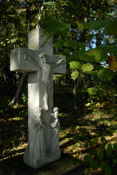 晴れた日の畑や森の間の石の十字架 ルブリン ポーランド — ストック写真