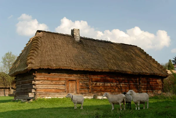Lublin Poland September 2012 Wooden Thatched Barn — Stock Photo, Image