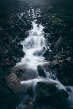 Karanlık soğuk bir günde dağlarda sisli şelale, Bieszczady Dağları, Polonya