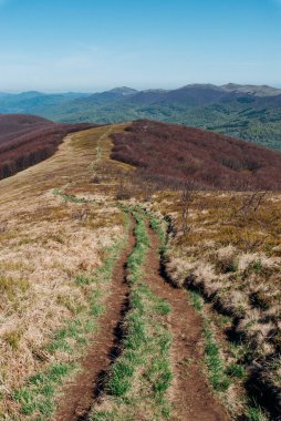 Güneşli bir bahar gününde dağlık otlaklar, Bieszczady Dağları, Polonya