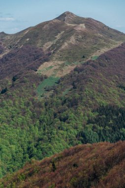 Ormanların zirvesi bir bahar günü, Bieszczady Dağları, Polonya