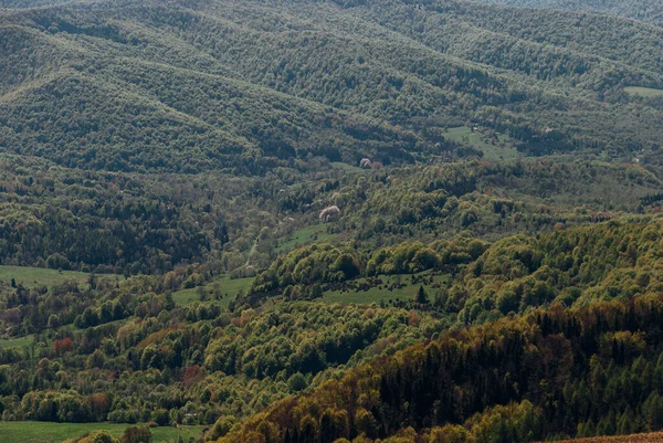 Bosque Montaña Principios Primavera Visto Desde Cima Montañas Bieszczady Polonia — Foto de Stock