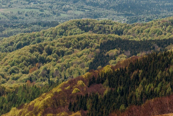 Bosque Montaña Principios Primavera Visto Desde Cima Montañas Bieszczady Polonia — Foto de Stock