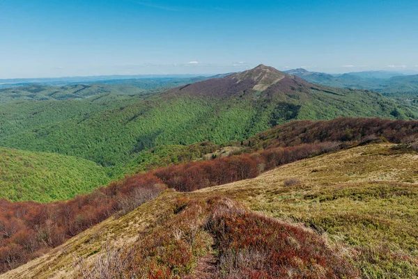 Pico Montaña Boscosa Día Primavera Montañas Bieszczady Polonia — Foto de Stock