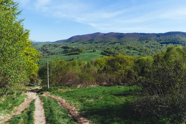 Sendero Montaña Entre Campos Bosques Soleado Día Primavera Montañas Bieszczady — Foto de Stock