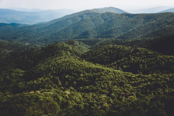 Dağlardaki karanlık orman, Bieszczady Dağları, Polonya