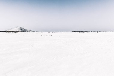 Kış manzarasında yalnız bir tepe manzarası, Dev Dağlar, Polonya