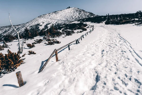 Uma Vista Pico Solitário Cenário Inverno Montanhas Gigantes Polônia — Fotografia de Stock