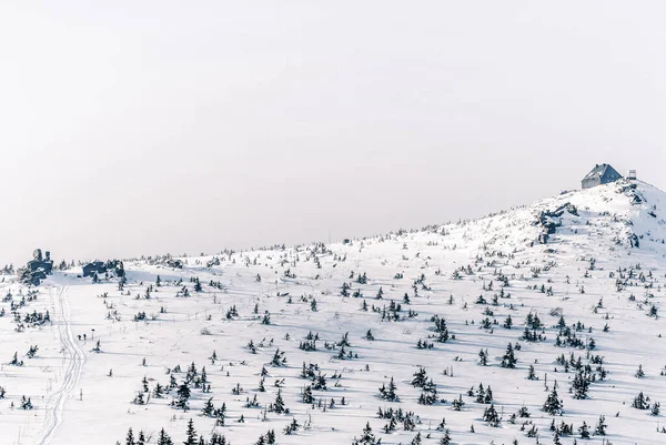 Inverno Paisagem Montanhosa Dia Ensolarado Montanhas Gigantes Polônia — Fotografia de Stock