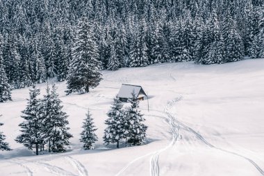 Güneşli bir günde kışlık dağ manzarası, Tatra Dağları, Polonya