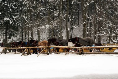 Güneşli bir günde kış manzarası, Tatra Dağları, Polonya