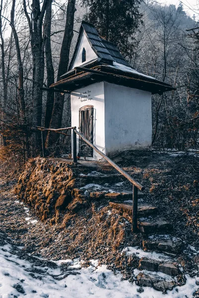 背景に森のある白いレンガ造りの礼拝堂 Pieniny Poland — ストック写真