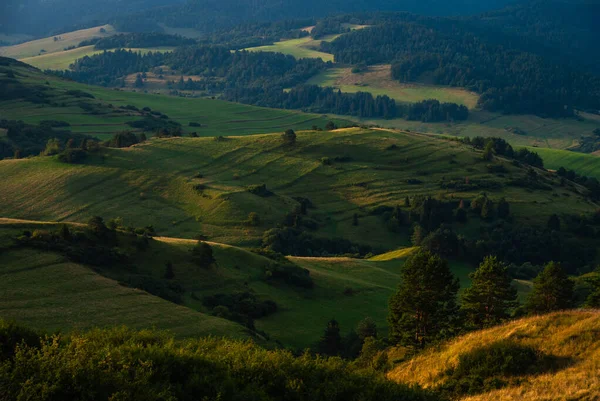 日の出の緑の丘の山の風景 Pieniny ポーランド — ストック写真