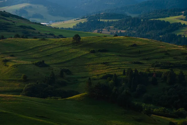 日の出の緑の丘の山の風景 Pieniny ポーランド — ストック写真
