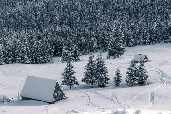 Зимовий Гірський Ландшафт Сонячного Дня Гори Татра Польща — стокове фото
