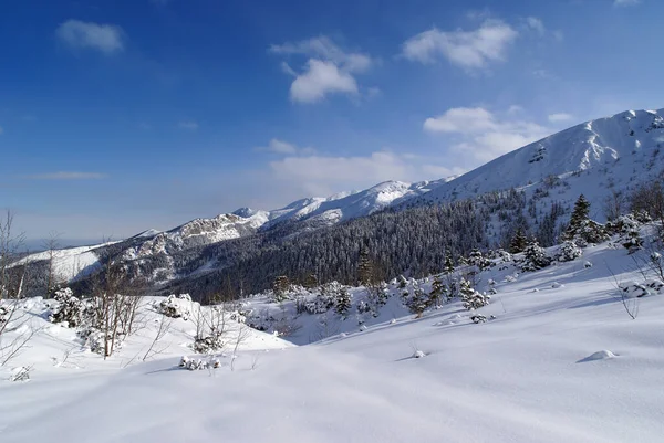 Inverno Paisagem Montanhosa Dia Ensolarado Montanhas Tatra Polônia — Fotografia de Stock