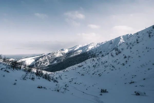 Inverno Paisagem Montanhosa Dia Ensolarado Montanhas Tatra Polônia — Fotografia de Stock