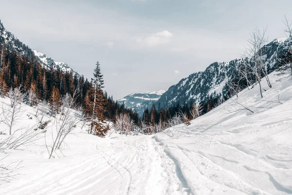 Inverno Paisagem Montanhosa Dia Ensolarado Montanhas Tatra Polônia — Fotografia de Stock