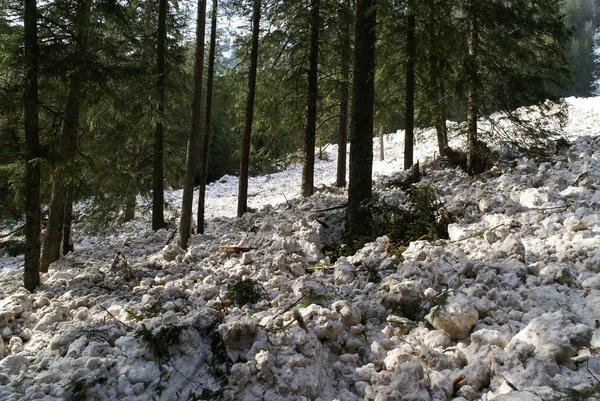 Güneşli bir günde dağlarda çığ, Tatra Dağları, Polonya