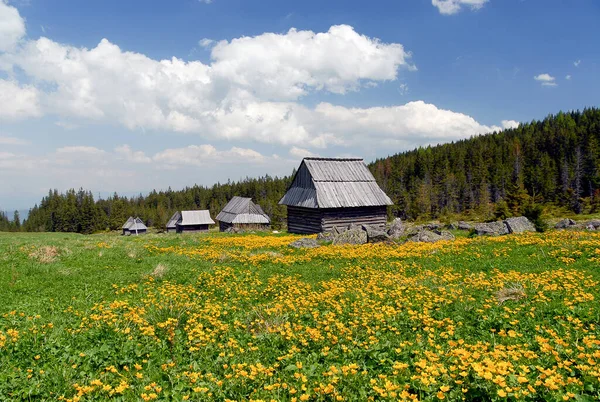 Een Traditionele Houten Hut Een Berghut Tatra Gebergte Polen — Stockfoto