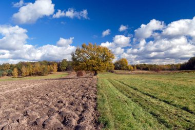 Parlak güneşli bir günde sonbahar manzarası, Polonya
