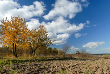 Parlak güneşli bir günde sonbahar manzarası, Polonya