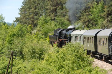 Polonya - Haziran 2010: Güneşli bir günde geleneksel Buhar Treni Dağ manzarasının içinden geçiyor